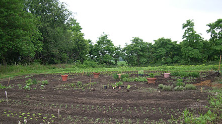 Erehwon Farm Mural